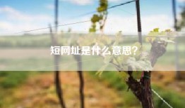 短网址是什么意思？