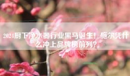 2024厨下净水器行业黑马诞生！施尔凭什么冲上品牌榜前列？