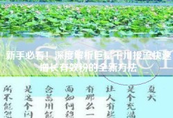 新手必看！深度解析巨量千川投流快速增长有效粉的全新方法
