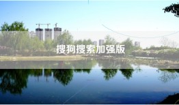 搜狗搜索加强版