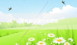 常务副总是什么意思