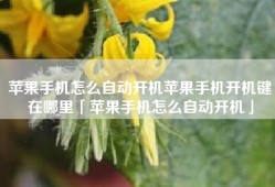 苹果手机怎么自动开机苹果手机开机键在哪里「苹果手机怎么自动开机」