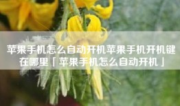苹果手机怎么自动开机苹果手机开机键在哪里「苹果手机怎么自动开机」