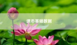 速币基础数据