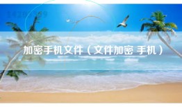 加密手机文件（文件加密 手机）