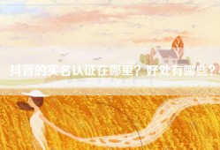 抖音的实名认证在哪里？好处有哪些？