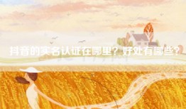 抖音的实名认证在哪里？好处有哪些？