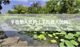 手机整人代码（手机搞人代码）