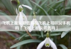 飞机上能玩微信吗在飞机上可以玩手机吗「飞机上能玩微信吗」
