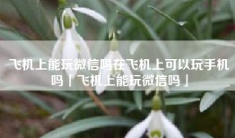飞机上能玩微信吗在飞机上可以玩手机吗「飞机上能玩微信吗」