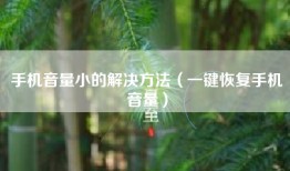 手机音量小的解决方法（一键恢复手机音量）
