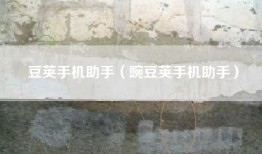 豆荚手机助手（豌豆荚手机助手）