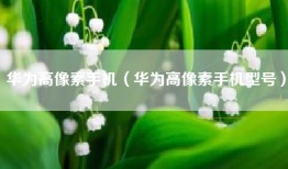 华为高像素手机（华为高像素手机型号）