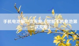 手机电池第一次充电（智能手机电池第一次充电）