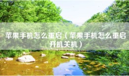 苹果手机怎么重启（苹果手机怎么重启开机关机）