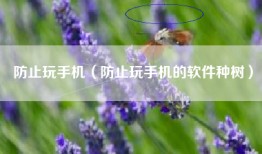 防止玩手机（防止玩手机的软件种树）