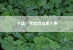 全球十大暗网搜索引擎