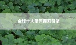 全球十大暗网搜索引擎