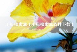 手机搜索器（手机搜索器软件下载）