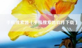 手机搜索器（手机搜索器软件下载）