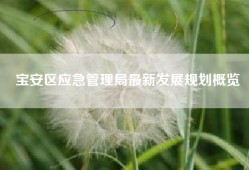 宝安区应急管理局最新发展规划概览