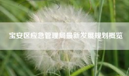宝安区应急管理局最新发展规划概览