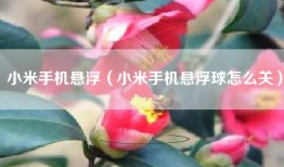 小米手机悬浮（小米手机悬浮球怎么关）