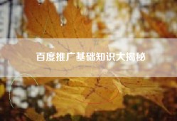 百度推广基础知识大揭秘