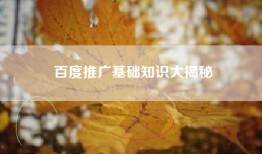 百度推广基础知识大揭秘