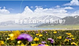 新手怎么自己找外贸订单？