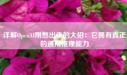 详解OpenAI刚憋出来的大招：它拥有真正的通用推理能力