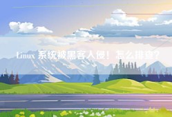 Linux 系统被黑客入侵！怎么排查？