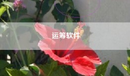 运筹软件