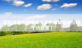 手机流量使用查询（手机流量查询在哪个功能里）