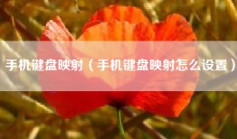 手机键盘映射（手机键盘映射怎么设置）