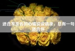 适合发签名的心情说说语录，总有一句适合你