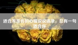 适合发签名的心情说说语录，总有一句适合你