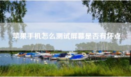 苹果手机怎么测试屏幕是否有坏点