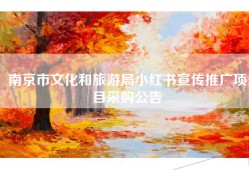 南京市文化和旅游局小红书宣传推广项目采购公告