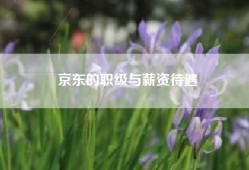 京东的职级与薪资待遇