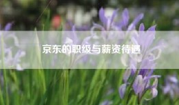 京东的职级与薪资待遇