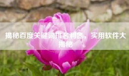 揭秘百度关键词排名利器，实用软件大揭秘