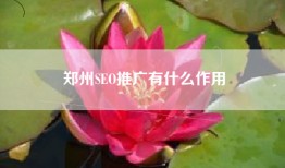 郑州SEO推广有什么作用