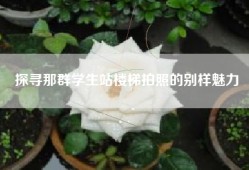 探寻那群学生站楼梯拍照的别样魅力