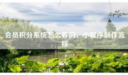会员积分系统怎么弄的，小程序制作流程
