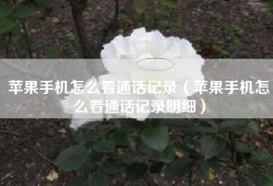 苹果手机怎么看通话记录（苹果手机怎么看通话记录明细）