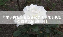 苹果手机怎么看通话记录（苹果手机怎么看通话记录明细）