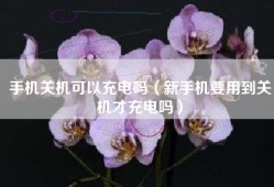 手机关机可以充电吗（新手机要用到关机才充电吗）