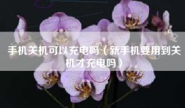 手机关机可以充电吗（新手机要用到关机才充电吗）