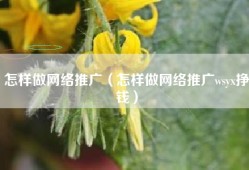 怎样做网络推广（怎样做网络推广wsyx挣钱）